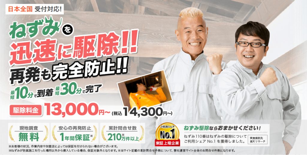 日本橋のネズミ駆除の専門業者を探すなら『ねずみ110番』